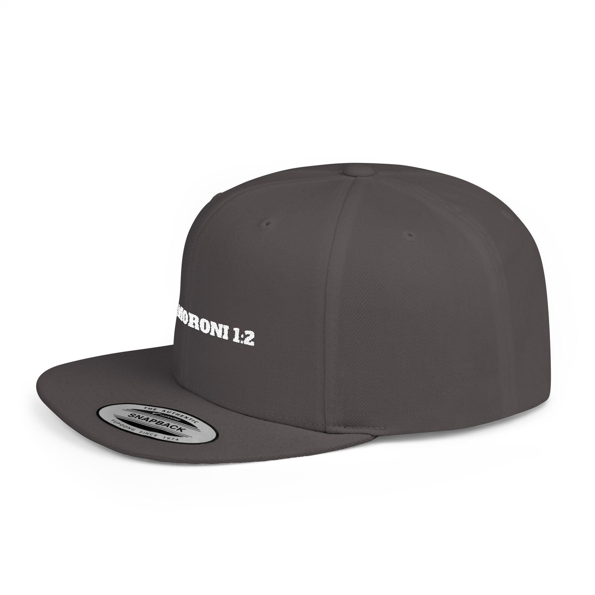 Moroni 1:2 Snapback Cap