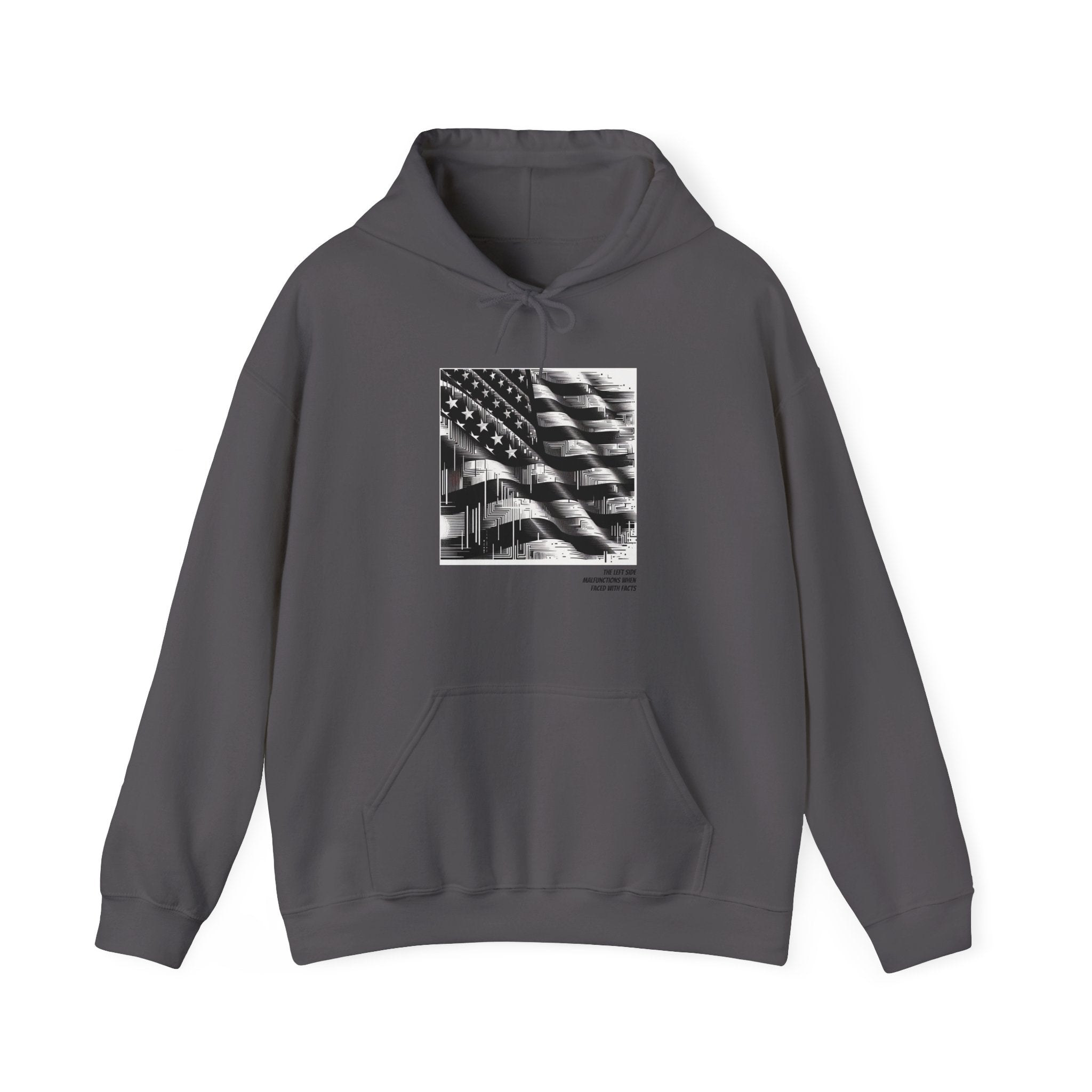 Left Side Facts Hoodie