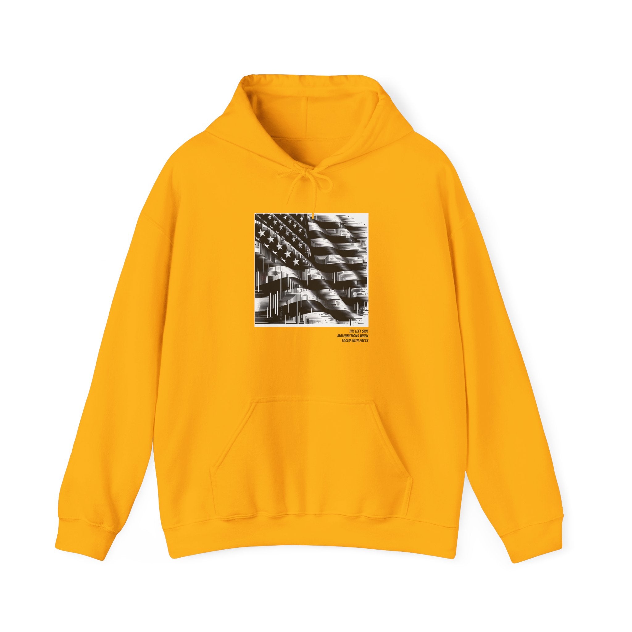 Left Side Facts Hoodie